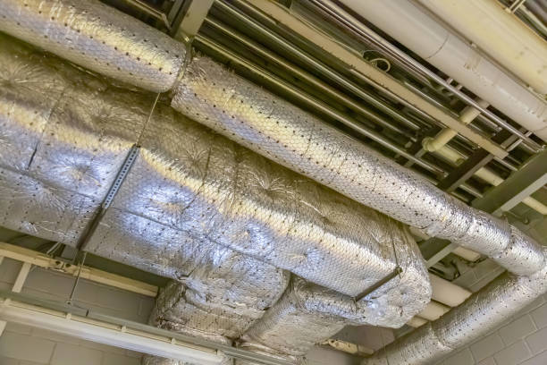 Best Affordable HVAC Duct Cleaning  in Mledgevle, IL